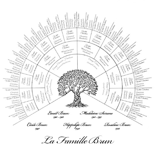 Arbre généalogique en éventail personnalisé avec illustration d’arbre central